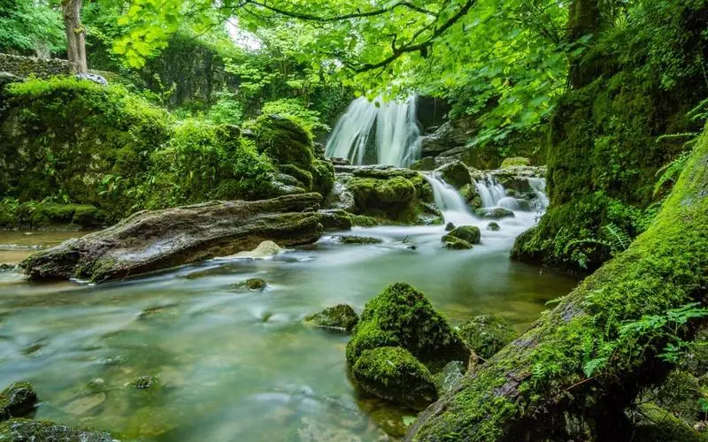 高性能独特智能